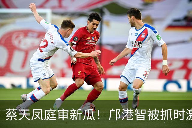 蔡天凤庭审新瓜！邝港智被抓时激烈反抗，右脸被擦伤，逃脱地存疑